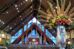 IMG_20170614_211146_1